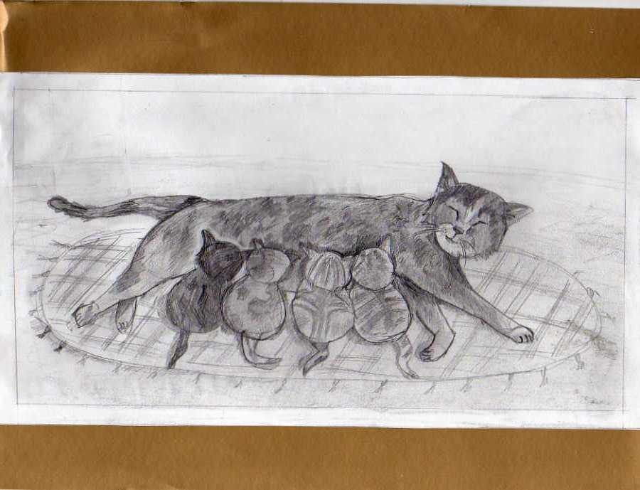 Федин котенок 3 полностью. Кот Графика. Кошка с котятами рисунок карандашом. Рисунки котов Графика. Забота о кошке рисунок.
